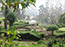 KODAIKANAL