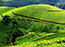 MUNNAR