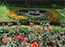OOTY